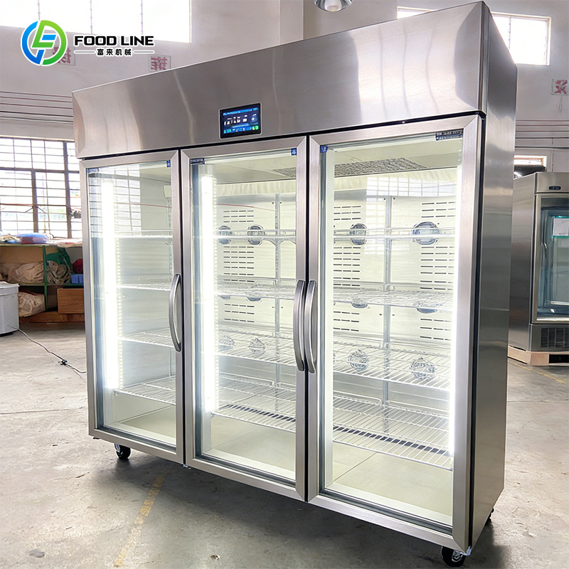 Commercial Kitchen Store - Schnelle Fleisch-Auftaumaschine, Frostfreier Edelstahl-Auftaubschrank, Energiesparend für