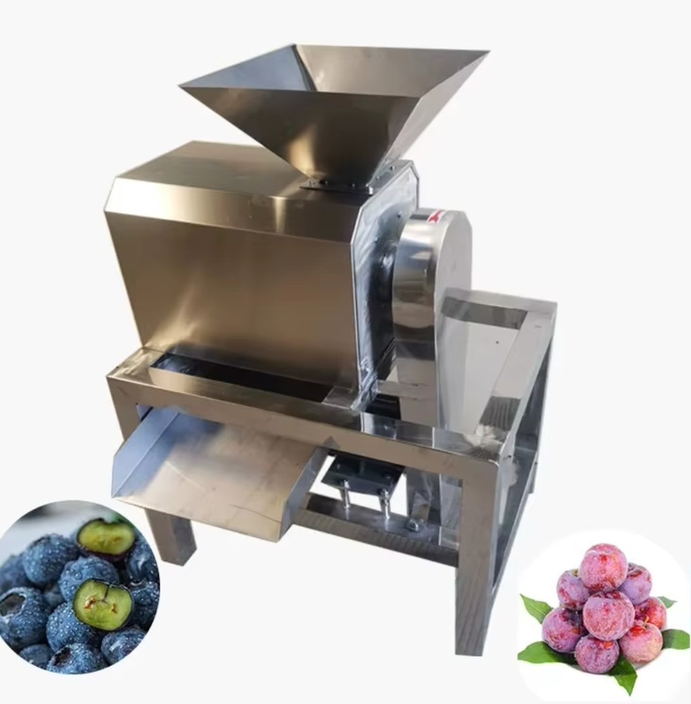 Industrieller Kommerzieller En – Juice Extractor Commercial Bewertung und Preis