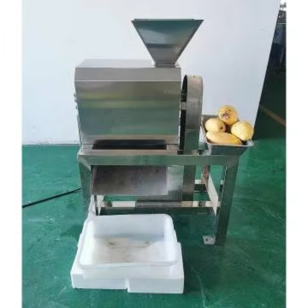 Industrieller Kommerzieller En – Juice Extractor Commercial Bewertung und Preis