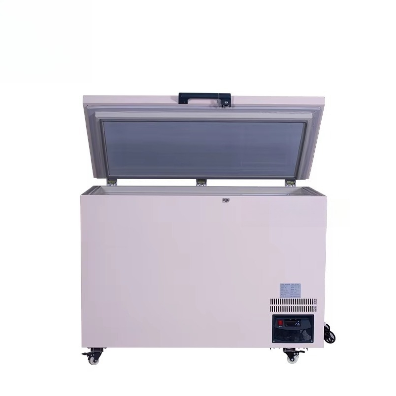 268L -60 ℃   Ultra-Niedrigtemp – Commercial Chest Freezer Bewertung und Preis