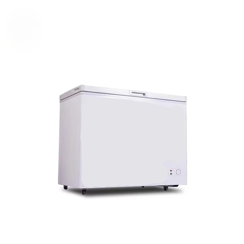 100 ~ 300 Liter kommerzieller  – Commercial Chest Freezer Bewertung und Preis