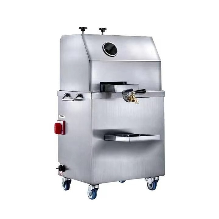 Kommerzielle elektrische Zucke – Juice Extractor Commercial Bewertung und Preis